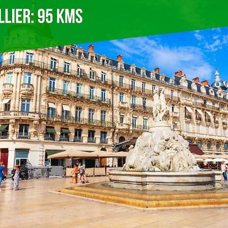 La Bulle - Parking Gratuit En Souterrain - 2 Mins Du Palais Des Papes - Clim Ac - Wifi Avignon Exterior foto